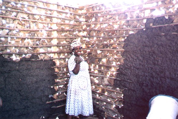MamaJaku.jpg (69577 bytes)