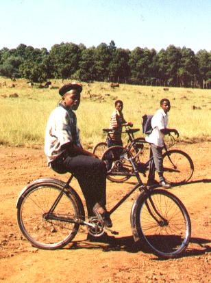 biking.jpg (32401 bytes)